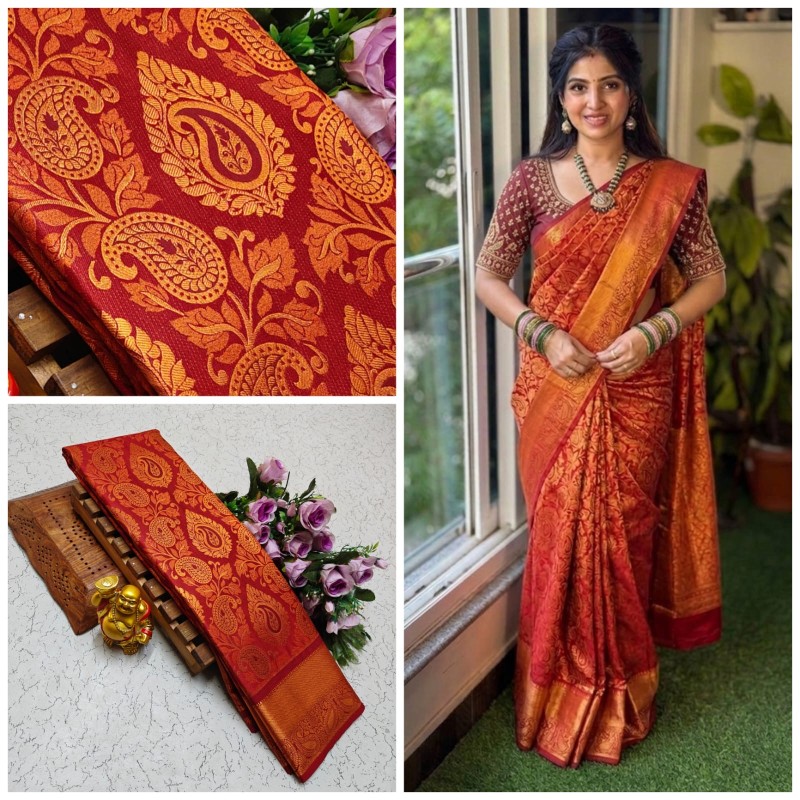 Nikki Galrani Silk Sarees